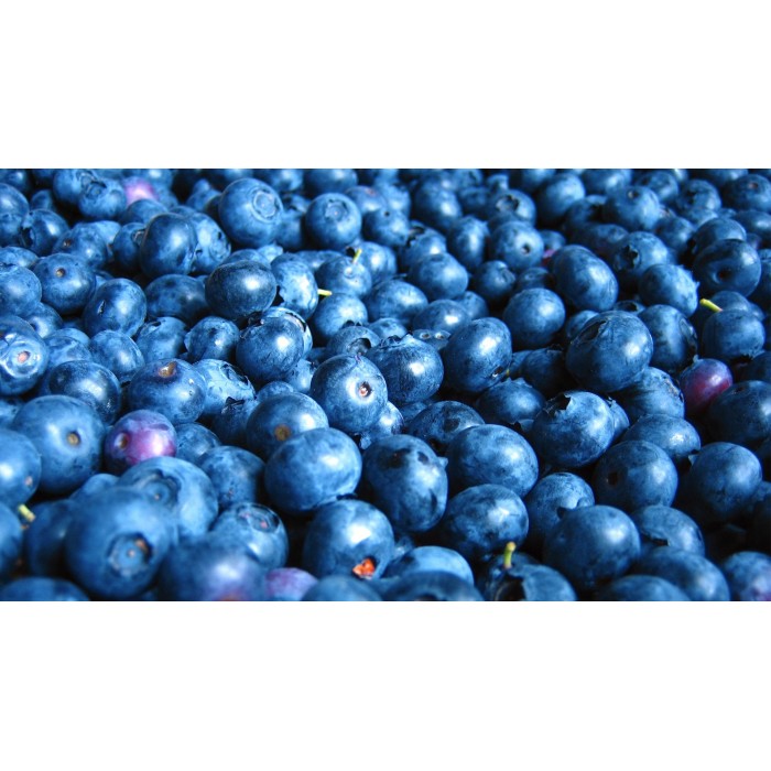  Bluberry 