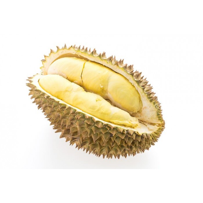  Durian /Butir