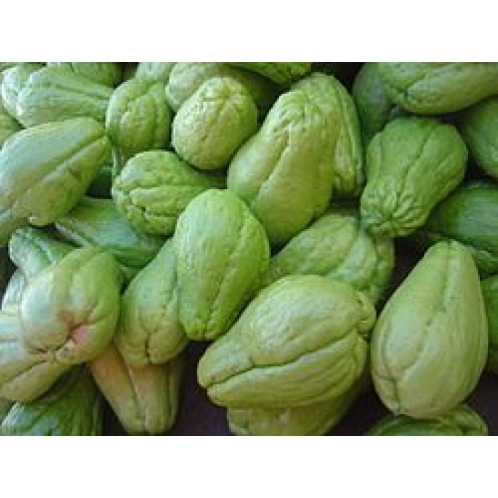 Labu siyam atau Gambas/Kg