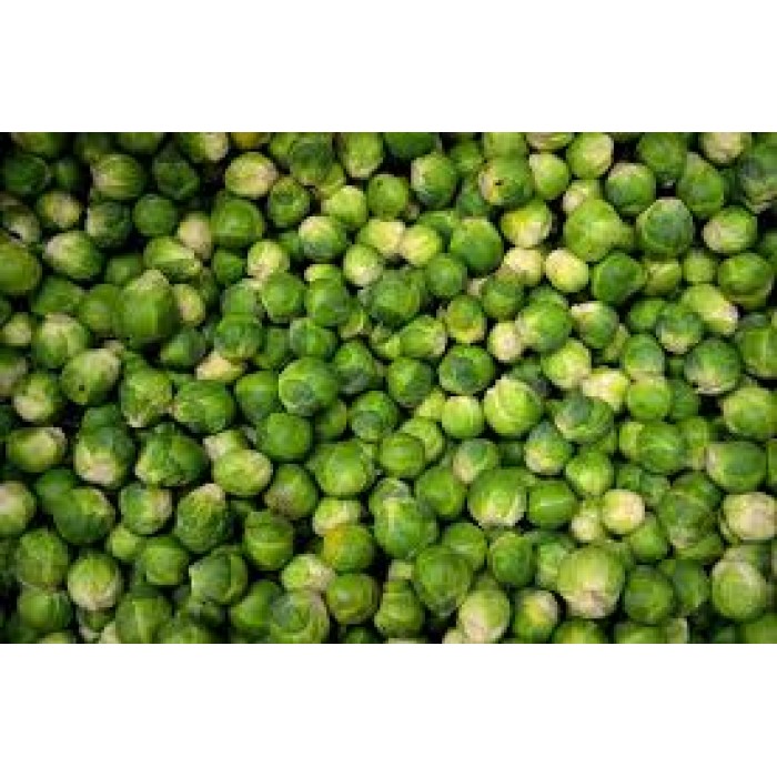 Kubis Brussel /Kg