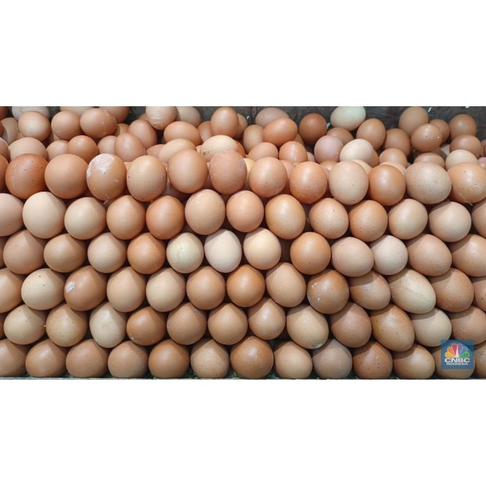 TELUR AYAM /KG