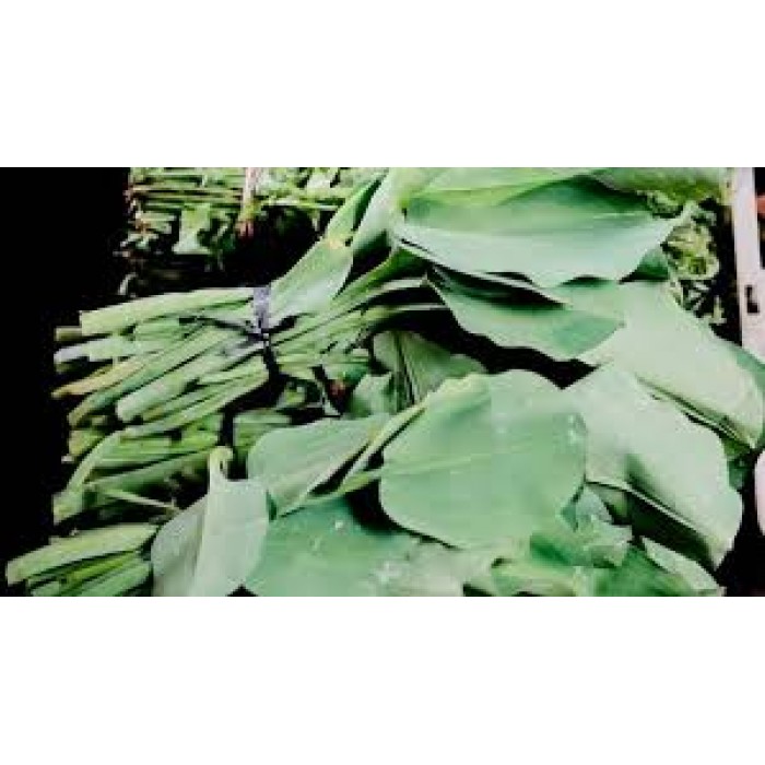Sayur Genjer /ikat